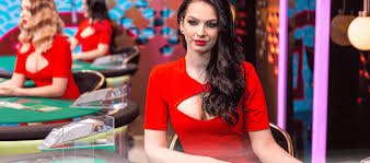 5566win Live Casino